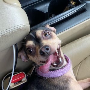 Meet your Posher, Jillian